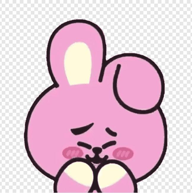 Cooky 🇰🇷