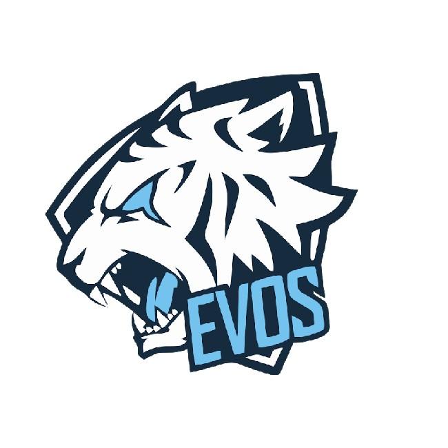 EVOS Icon