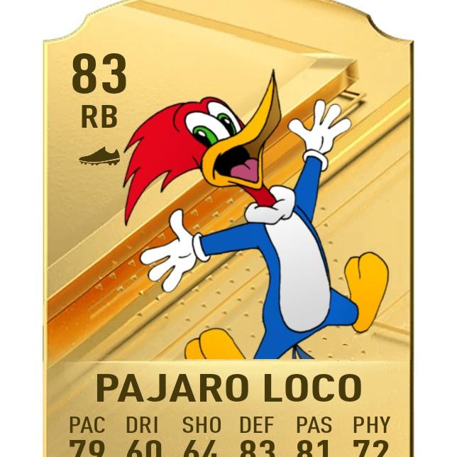 Pajaro loco