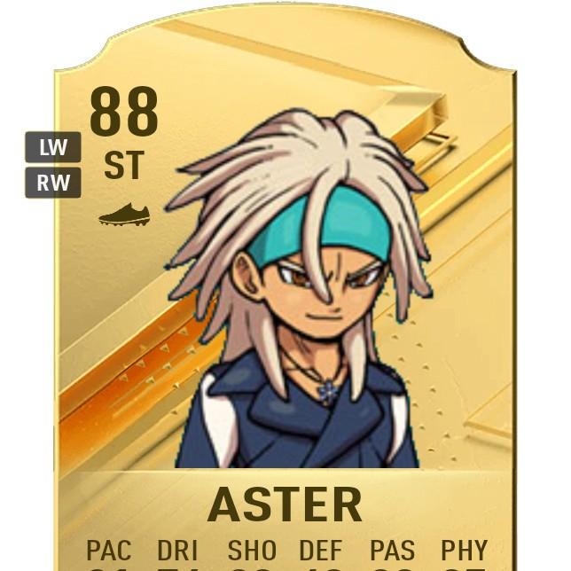 Aster