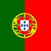 Neto