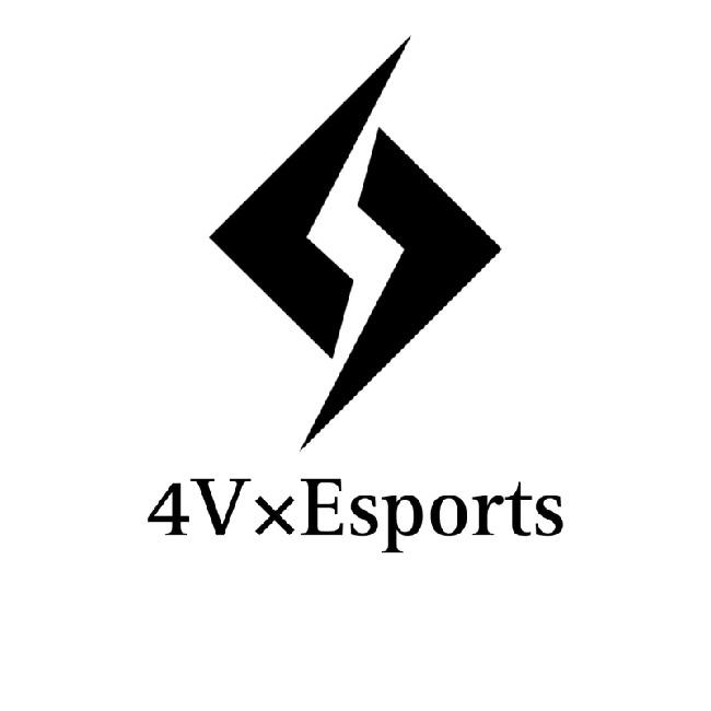 4VxEsport