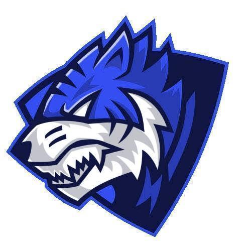 KinFang Tigers
