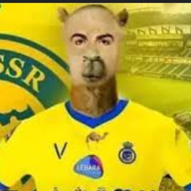 Fristiano Penaldo [P]