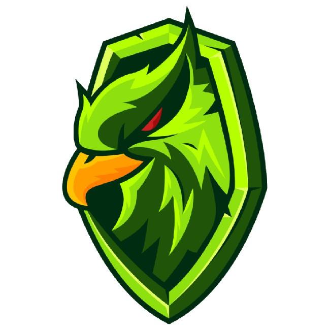 Valorous Falcons 👑