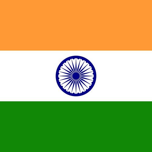 Raj Patel