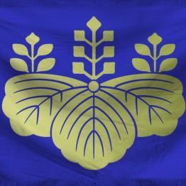 Kyoto Emergency Government