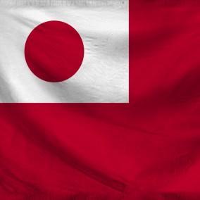 Japanese Opposition