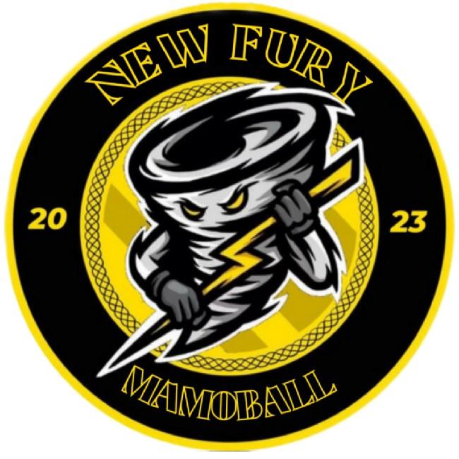 New Fury