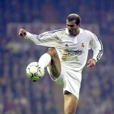 Zinedine Mustafa