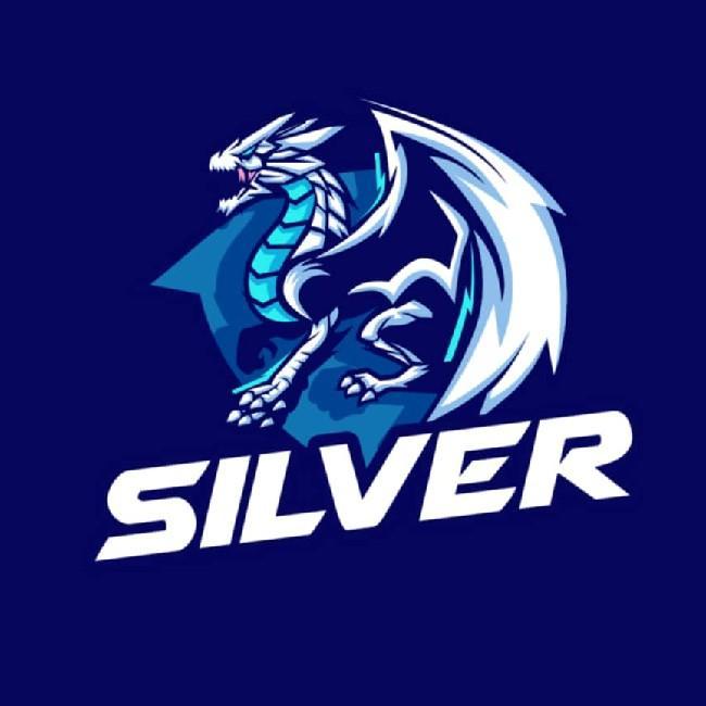 Silver team