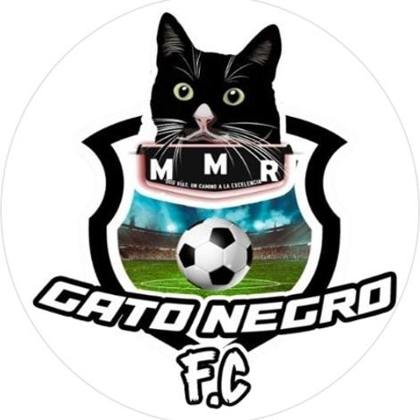GATO NEGRO