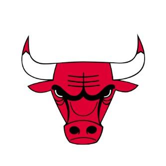 CHICAGO BULLS