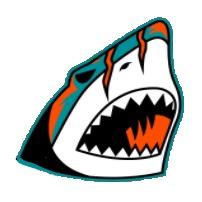 Miami Sharks