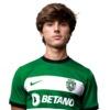 Tiago Ferreira