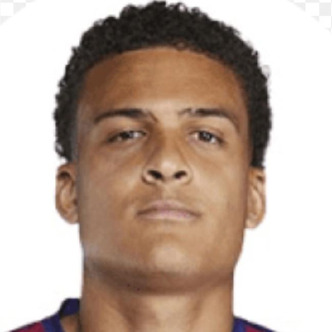 15. N. Borges