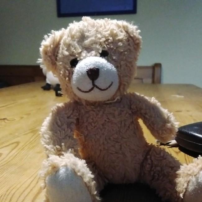 Teddy