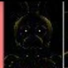 Springbonnie