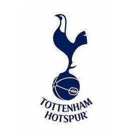 Tottenham Hotspurs Academy