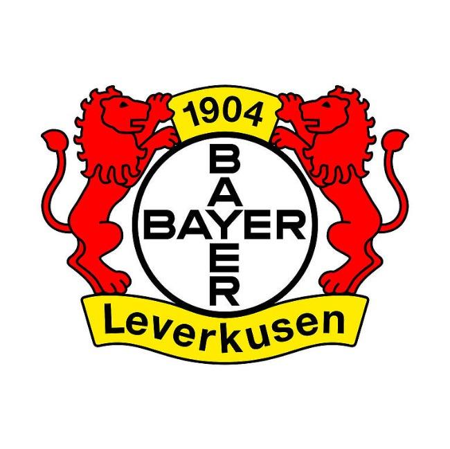 Bayer Leverkusen Academy