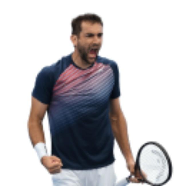 MARIN CILIC