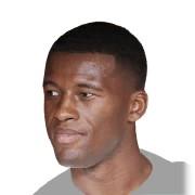 G. Wijnaldum