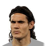 E. Cavani