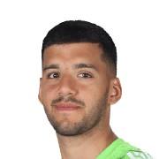 G. Rulli
