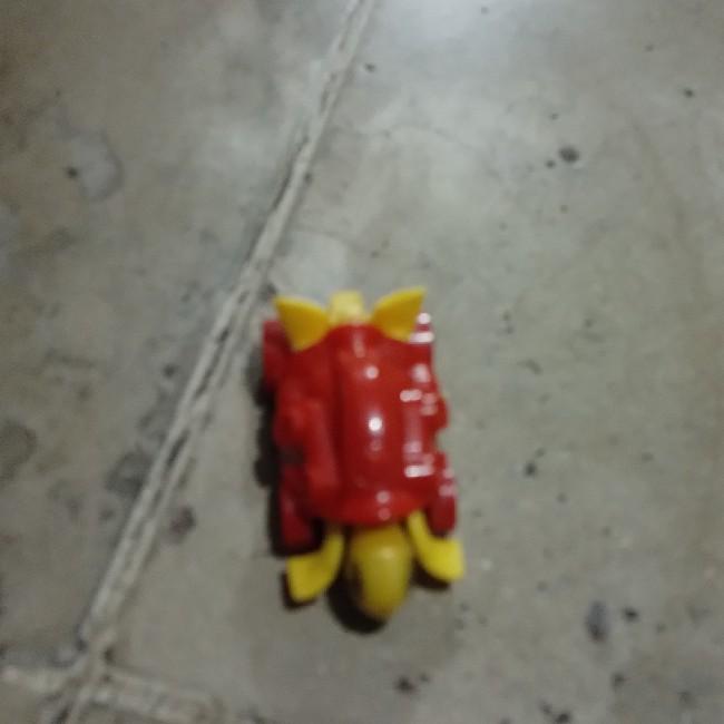 Tortuga roja