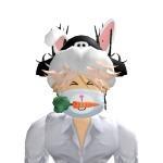 ii_leon(LeonXD1500)