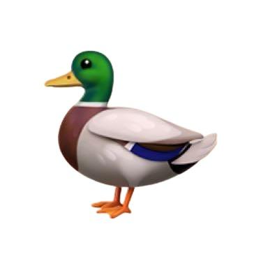 HUNTER DUCK