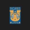 Tigres