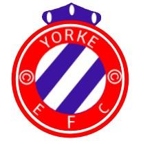 1️⃣ Yorke cyte ••