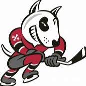 Niagara Icedogs