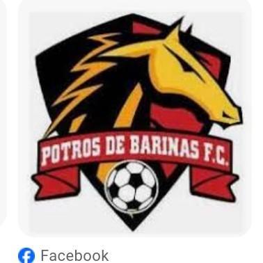 Potros de barinas "Mandy"