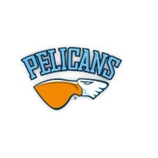 Pelicans