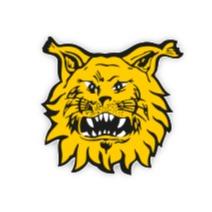 Ilves
