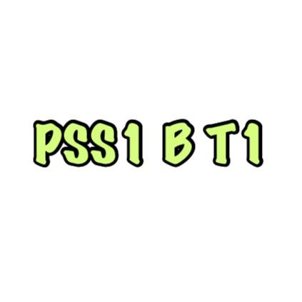 PSS1 B (T1)