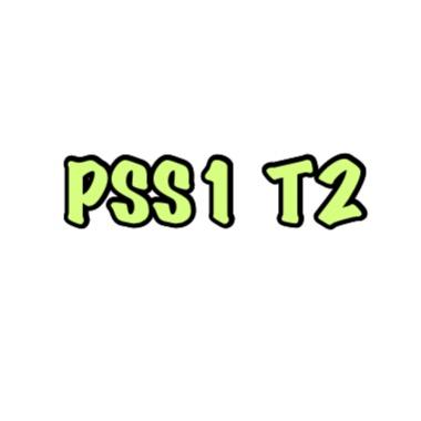 PSS1 (T2)