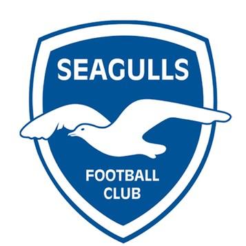 Seagulls FC