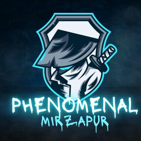 Phenomenon Mirzapur