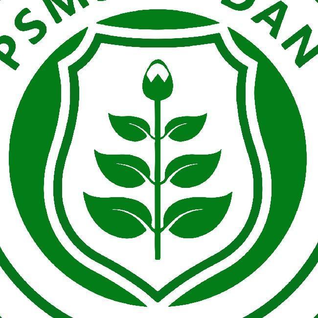 PSMS MEDAN