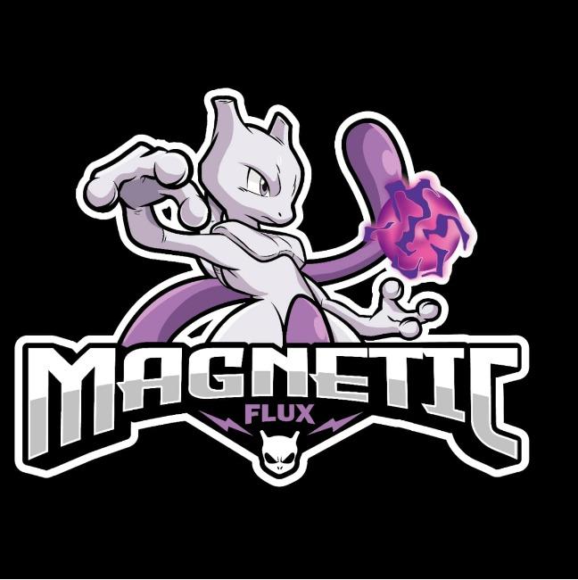 Magnetic Flux