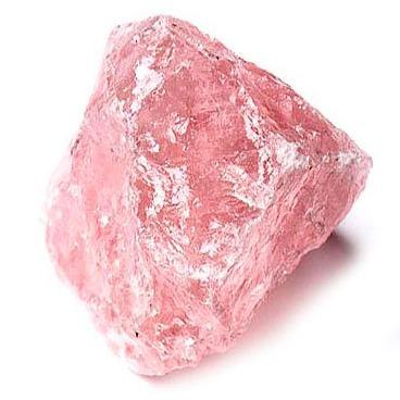 Moco Fuxia