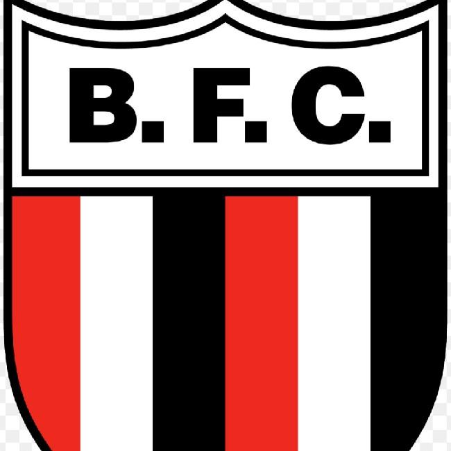 Botafogo-SP
