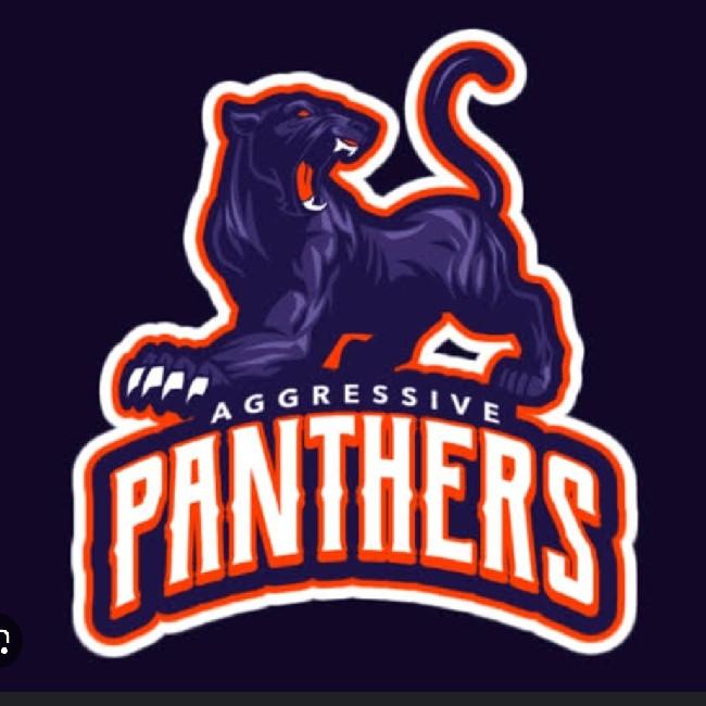 AGGRESSIVE PANTHERS FC