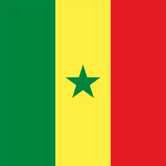 Ousmane Niom