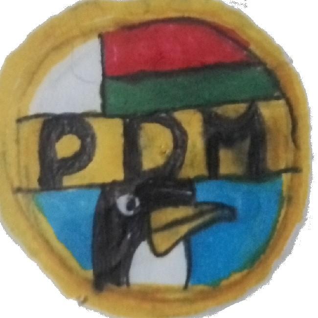 Pingüinos de Madagascar