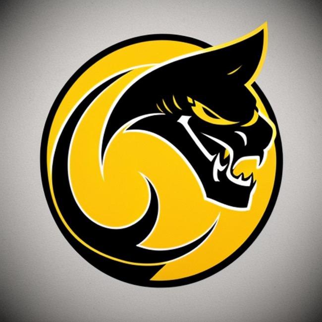 Jacksonville Cobras