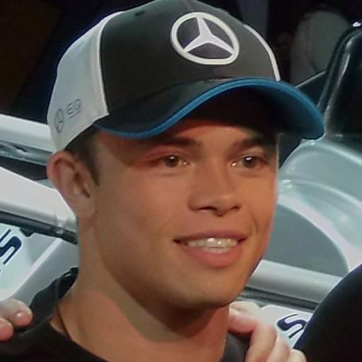 Nyck de Vries